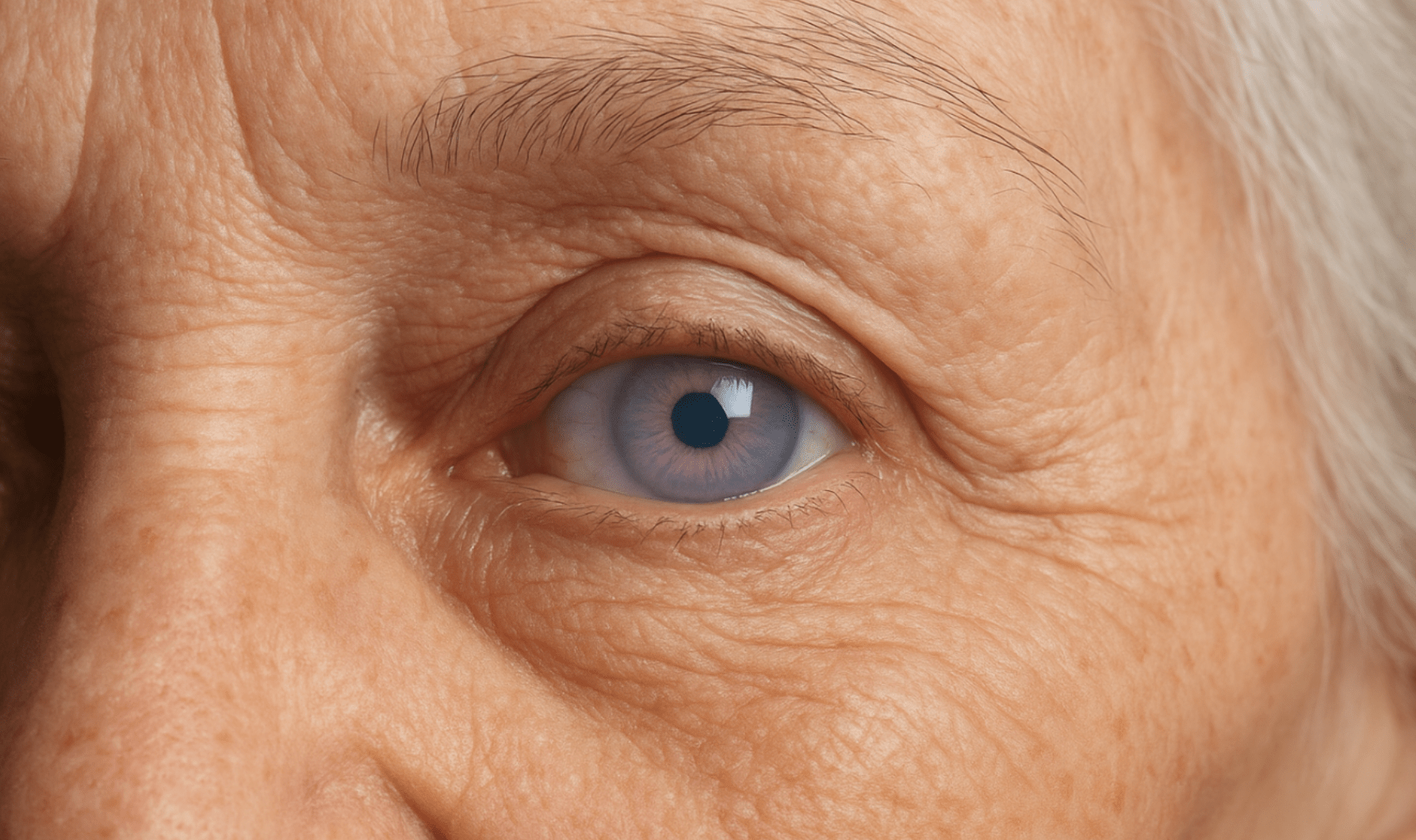 Screenshot 2025-11-07 at 15.31.43