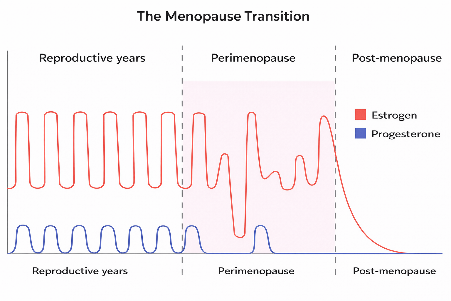 ChatGPT Image Jan 7, 2026 at 09_42_02 PM