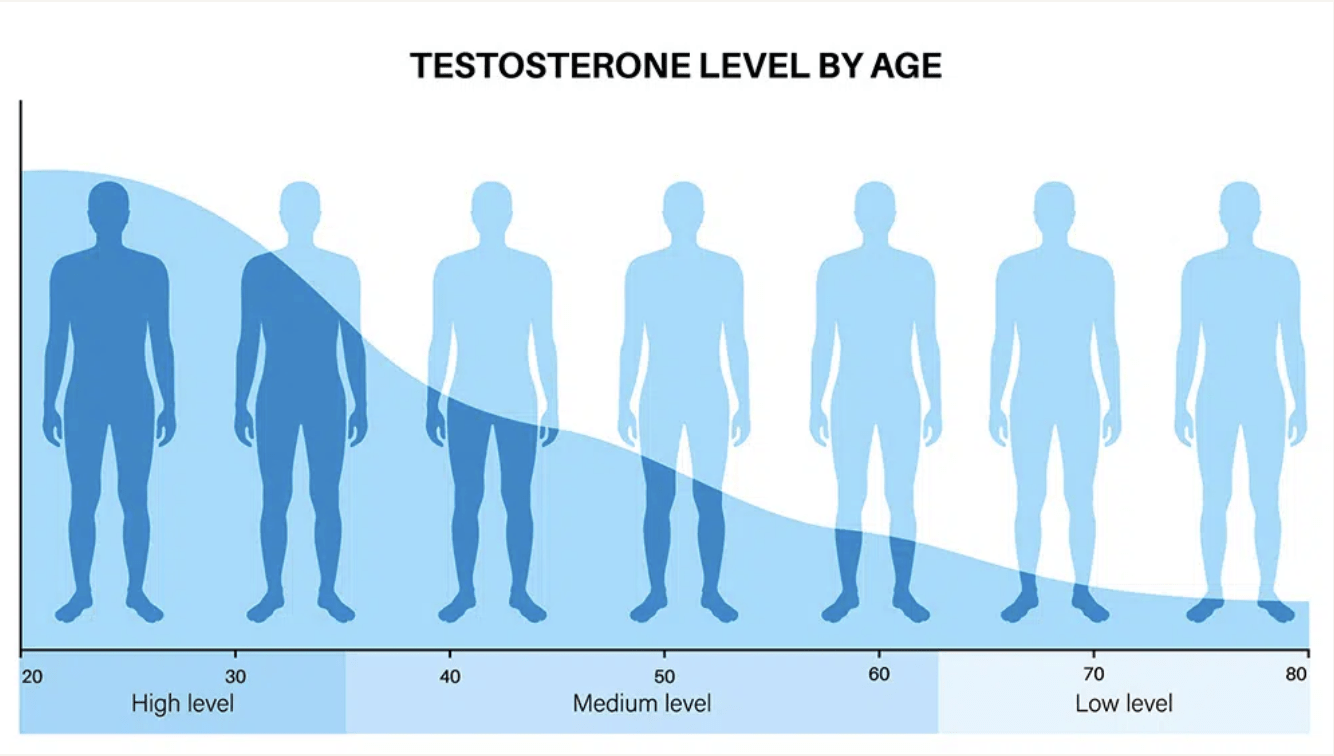 Screenshot 2026-03-03 at 21.25.24